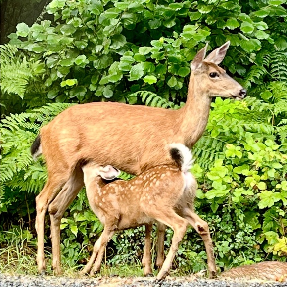 Meet your Posher, Brenda - Picture 13 of 13